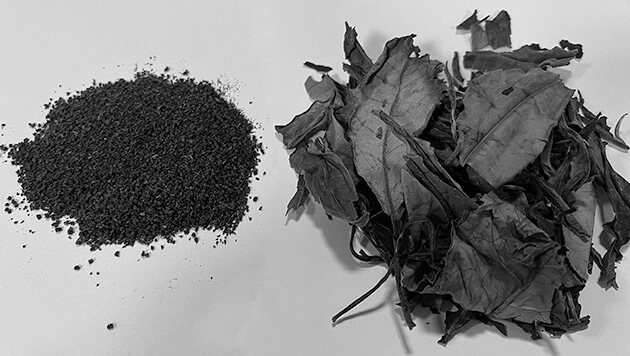 Photo showing CTC tea and whole-leaf tea