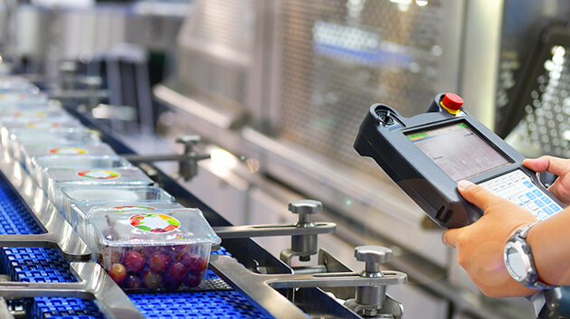 Photo of cherry tomatoes in a factory