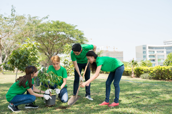 Select the "right" plants for your area.