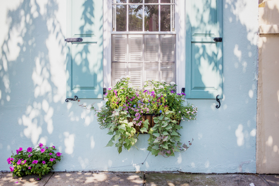 Create a child's window garden box.