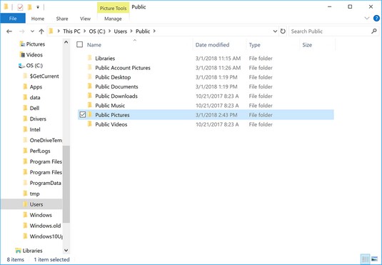 Windows 10 public files