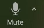 Zoom Mute icon
