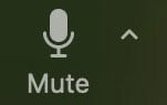 Zoom Mute icon