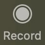 Zoom Record icon