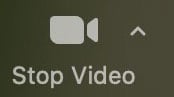 Zoom Stop Video icon